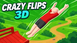 Crazy Flips 3D