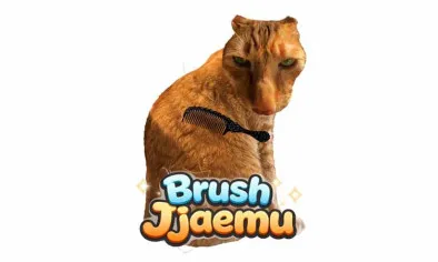 Brush Jjaemu img