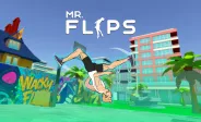 Mr Flip Mr Flip img