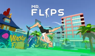 Mr Flip img